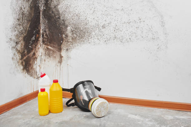 Best Water Damage Restoration  in Riverview, MO