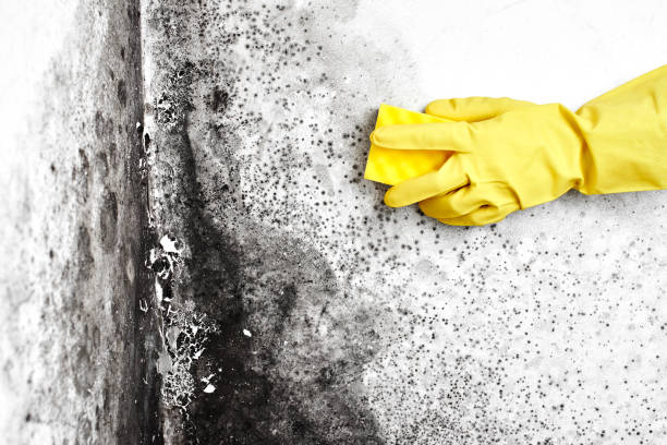 Water Damage Restoration in Riverview, MO