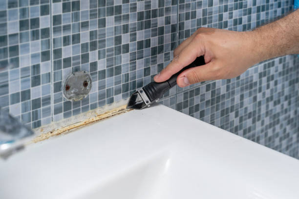 Best Commercial Mold Removal  in Riverview, MO
